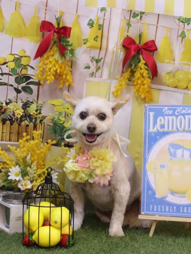 20240421ポンタくん